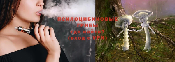 прущие грибы Кулебаки