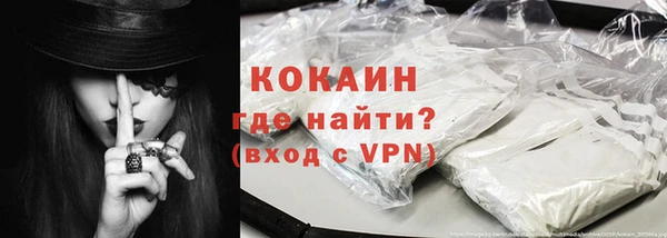 прущие грибы Кулебаки