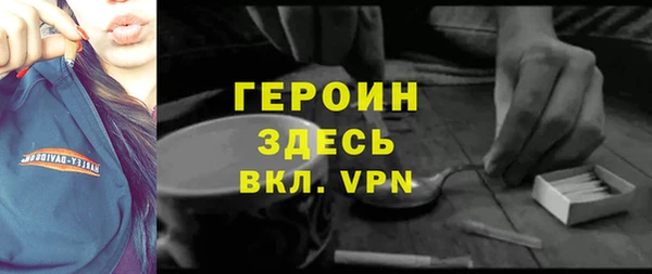 мдпв Ладушкин