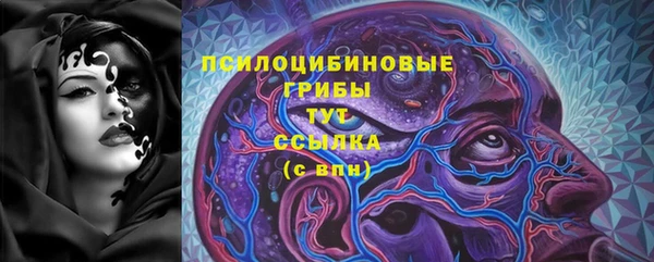 прущие грибы Кулебаки