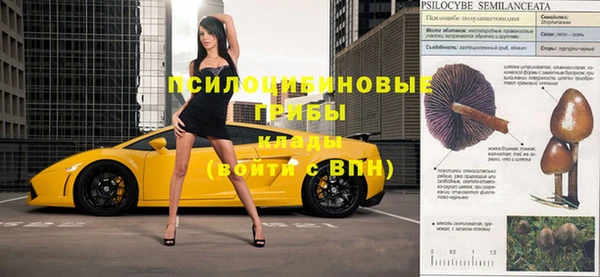 прущие грибы Кулебаки