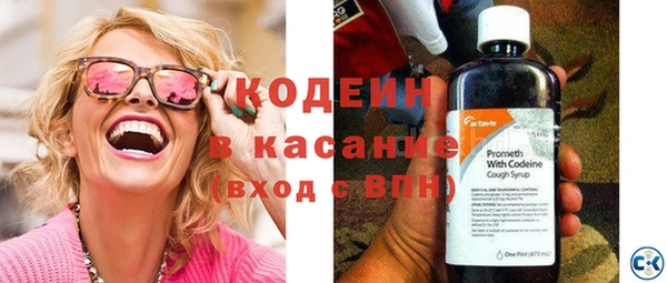 прущие грибы Кулебаки