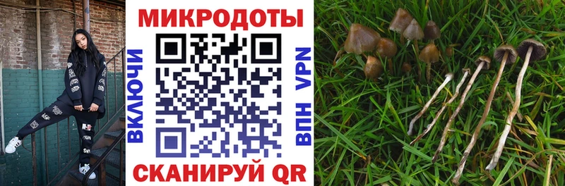 Псилоцибиновые грибы GOLDEN TEACHER  купить  цена  Называевск 
